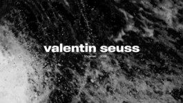valentin seuss